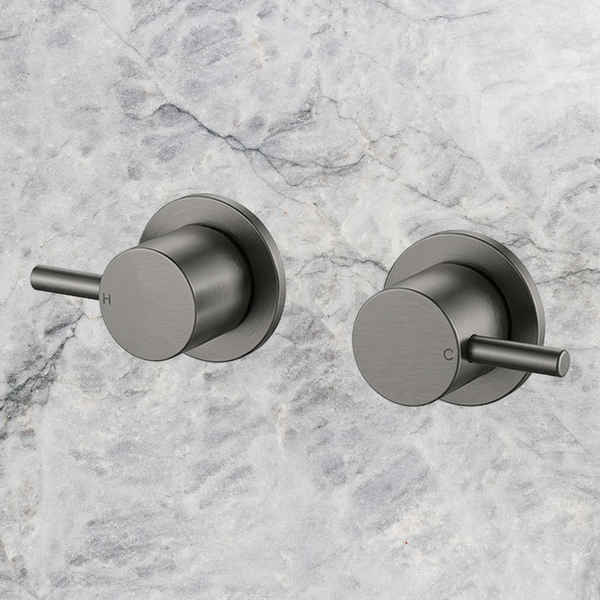 Arcisan Axus Pin Wall Taps (Pair) Brushed Gunmetal