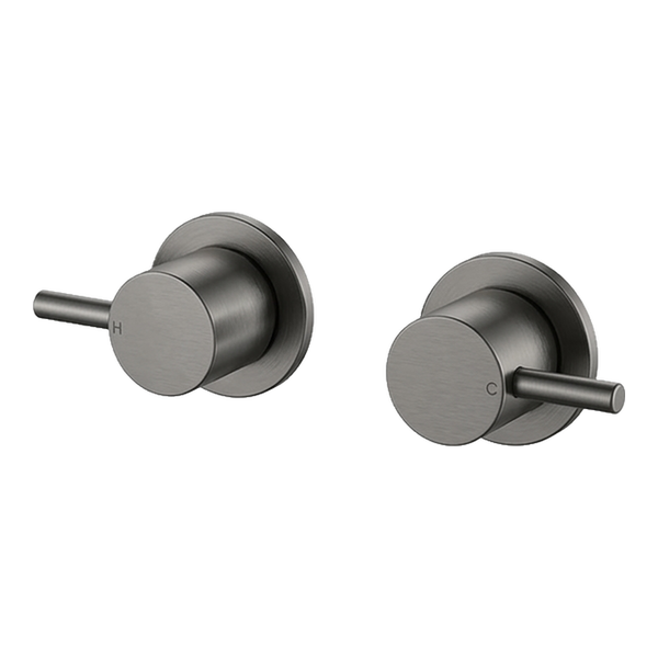 Arcisan Axus Pin Wall Taps (Pair) Brushed Gunmetal