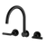 Arcisan Axus Lever Wall Mount Kitchen or Laundry Set Matte Black