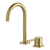 Arcisan Axus Pin 2-Hole Basin Mixer Brushed Brass
