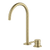 Arcisan Axus Pin 2-Hole Basin Mixer with Extended Height Spout Brushed Brass