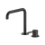 Arcisan Axus Pin Basin Mixer with 195x180mm Squareline Spout Matte Black
