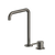 Arcisan Axus Pin Sink Mixer with 296x220mm Swivel Squareline Spout Brushed Iron