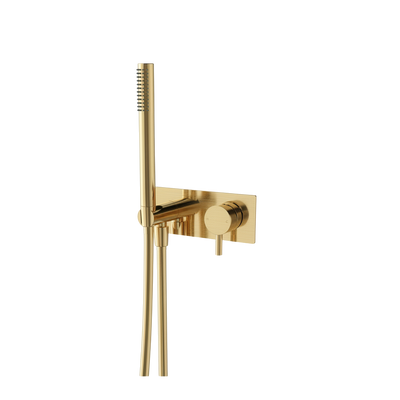 Arcisan Axus Pin Shower Mixer and Handshower with Plate (Complete Kit) Brushed Brass
