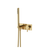 Arcisan Axus Pin Shower Mixer and Handshower with Plate (Complete Kit) Brushed Brass