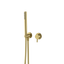 Arcisan Axus Pin Shower Mixer and Handshower (Trim Kit Only) Brushed Brass