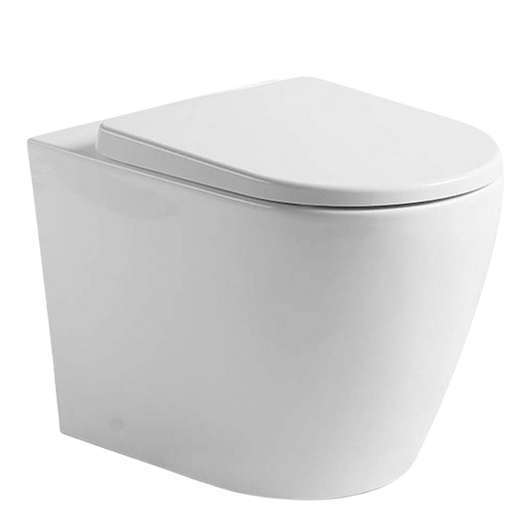 Argent Vista HygienicFlush Wall Faced Toilet Pan and Seat White