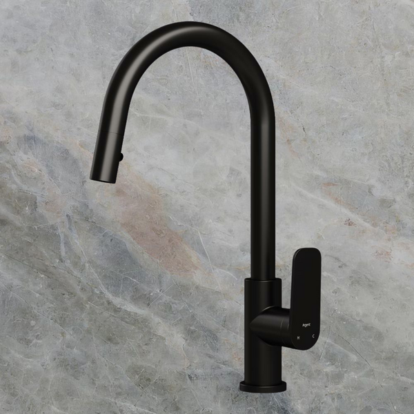 Argent Pace 2.0 Kitchen Mixer Pull Out Spray Matte Black Lead Free