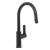 Villeroy & Boch Architectura Kitchen Mixer Pull Out Spray Matte Black