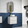 Aulic Neva 600mm Wall Hung Vanity