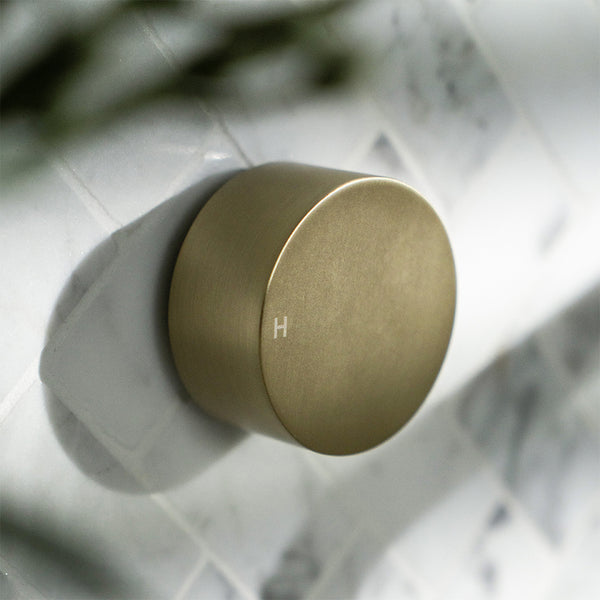 Alma Simon Brushed Brass Gold Simple Circle Handles