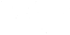 Tiles Rhea Gloss White 100 x 200mm