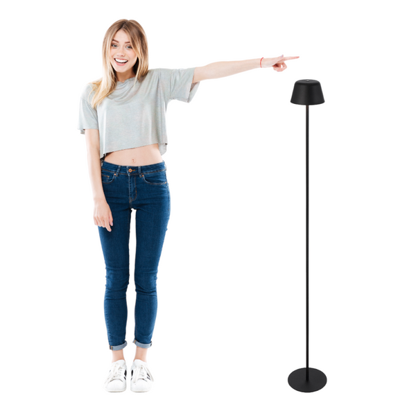 Telbix Briana Rechargeable Floor Lamp Black