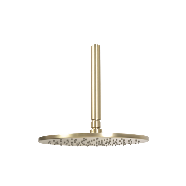 Alma Mira Brushed Brass Gold Ceiling Shower Arm and Head