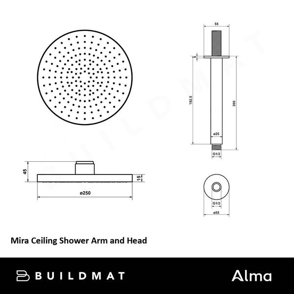 Alma Mira Brushed Brass Gold Ceiling Shower Arm and Head