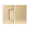 Alma Anton Shower Hinge Brushed Brass Gold
