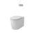 Caroma Elvire Cleanflush Wall Faced Back Inlet Pan Invisi Series II 4.5/3L Cistern White