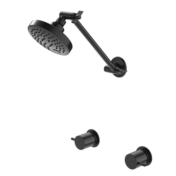 Caroma Luna Lever Shower Set Black