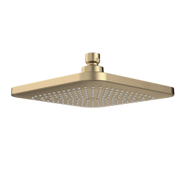 Caroma Luna Overhead Shower Head Brushed Brass