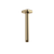 Caroma Luna Straight Arm Square Flange 210mm Brushed Brass