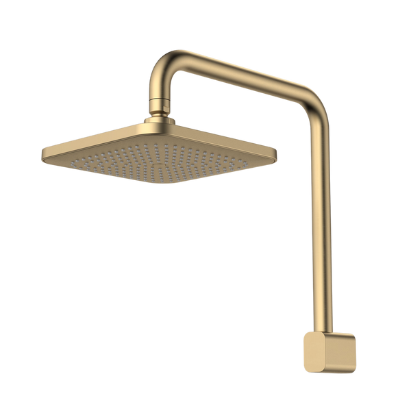 Caroma Luna Fixed Overhead Shower Brushed Brass