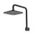 Caroma Luna Fixed Overhead Shower Black