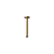 Caroma Urbane II 200mm Ceiling Shower Arm Brushed Brass