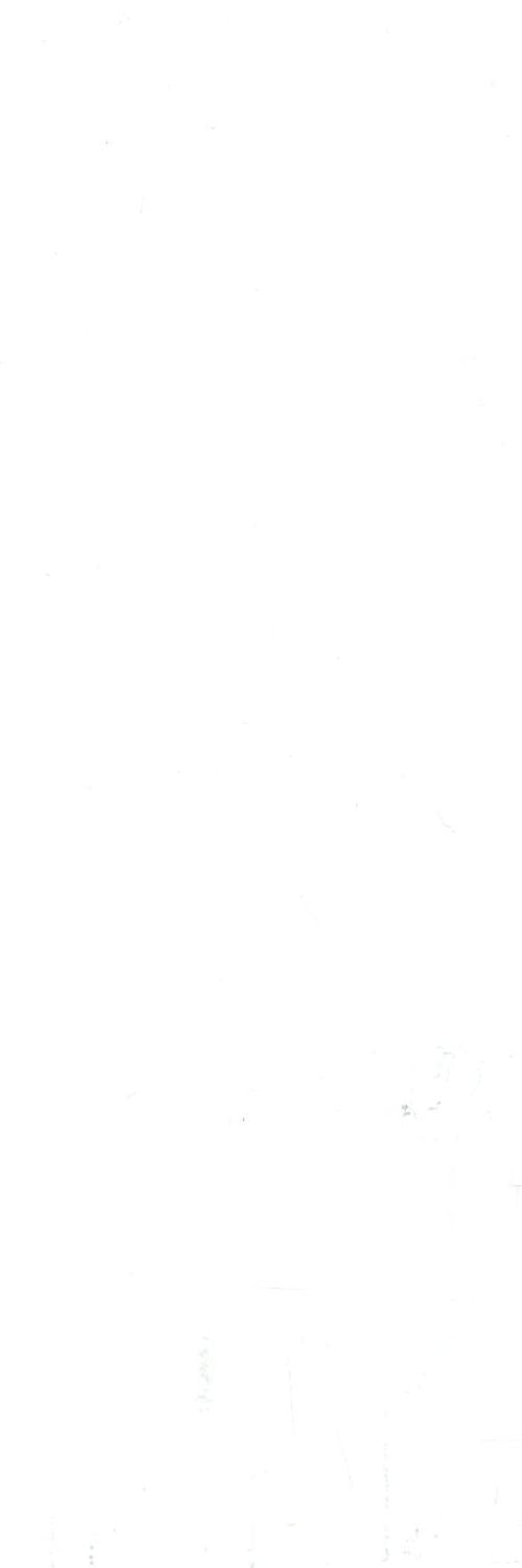 Tiles Enchant Gloss White 100 x 300mm