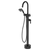 Fienza Eleanor Floor Mixer And Shower Matte Black with Matte Black Handle