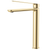 Fienza Empire Care Tall Basin Mixer Cold Start Urban Brass Lead Free