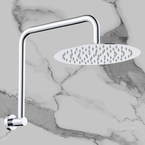 Fienza Kaya Gooseneck Shower Arm Set Chrome