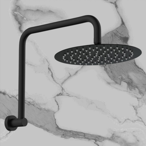 Fienza Kaya Gooseneck Shower Arm Set Matte Black
