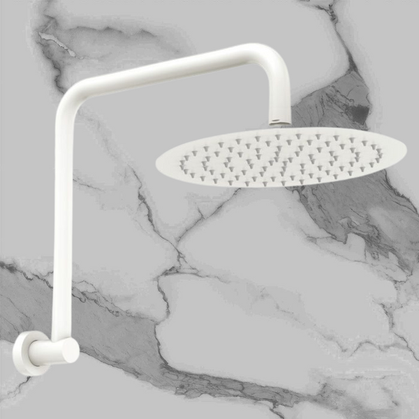 Fienza Kaya Gooseneck Shower Arm Set Matte White