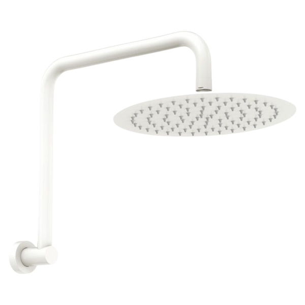 Fienza Kaya Gooseneck Shower Arm Set Matte White