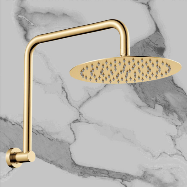 Fienza Kaya Gooseneck Shower Arm Set Urban Brass