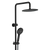 Fienza Kaya Twin Shower Matte Black