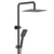 Fienza Tono Twin Shower Matte Black