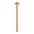 Round Ceiling Arm 300mm Brushed Gold