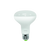 IXL 10W R80 Multi-Option LED Globe