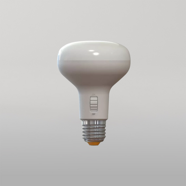 IXL 10W R80 Motion Sensor LED Globe