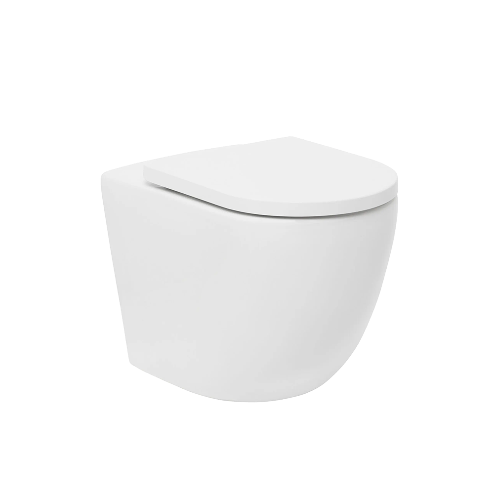 Features Curved front wall faced vitreous china toilet pan with efficient rimless design for hygienic flushing Concealed wall mounting system Soft-close, quick release toilet seat made of Duroplast (Urea) material Variable S trap pan connector (120-145mm set out) with S or P trap configuration installation Suitable wit