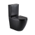 Fienza Koko Tornado Back-to-Wall Toilet Suite S-Trap Matte Black
