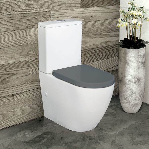 Fienza Alix Back to Wall Toilet Suite Gloss White with Grey Seat (Pan + Seat + R&T Cistern) S-Trap