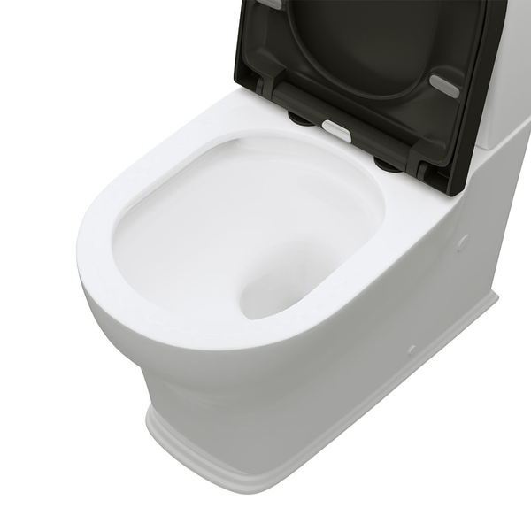 Fienza Lillian Tornado Flush Back-to-Wall Toilet Suite S-Trap 160-230 Gloss White with Black Seat