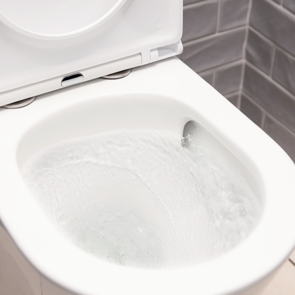 Fienza Aluca Tornado Flush Back-to-Wall R&T Toilet Suite with Slim Seat P-Trap Gloss White