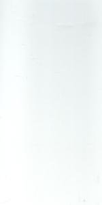 Tiles Fordham Gloss White 200 x 400mm