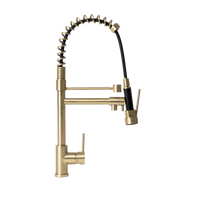 Alma Cleo Brushed Brass Gold Pull Down Dual Spray Mixer