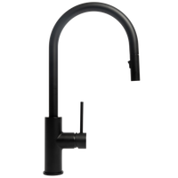 Mira Matte Black Pull Out Mixer