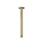 Meir Round Ceiling Shower Arm 300mm Tiger Bronze
