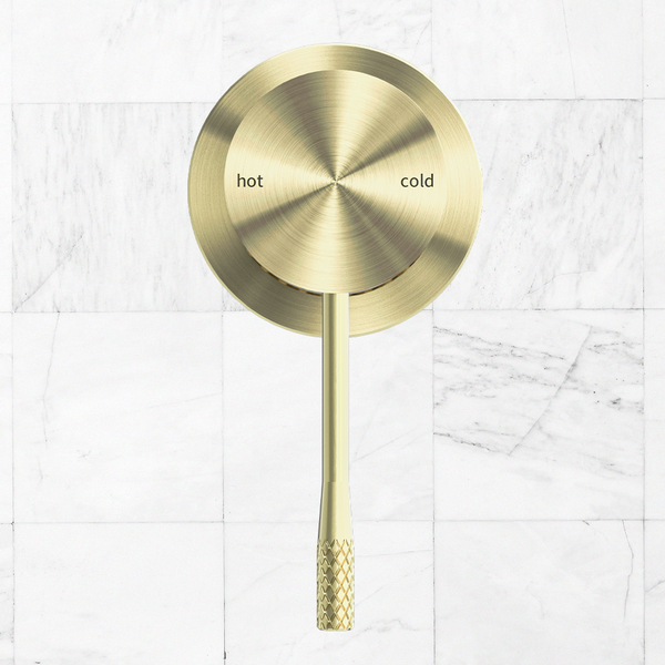 Nero Opal Shower Mixer with 60mm Plate Brushed Gold